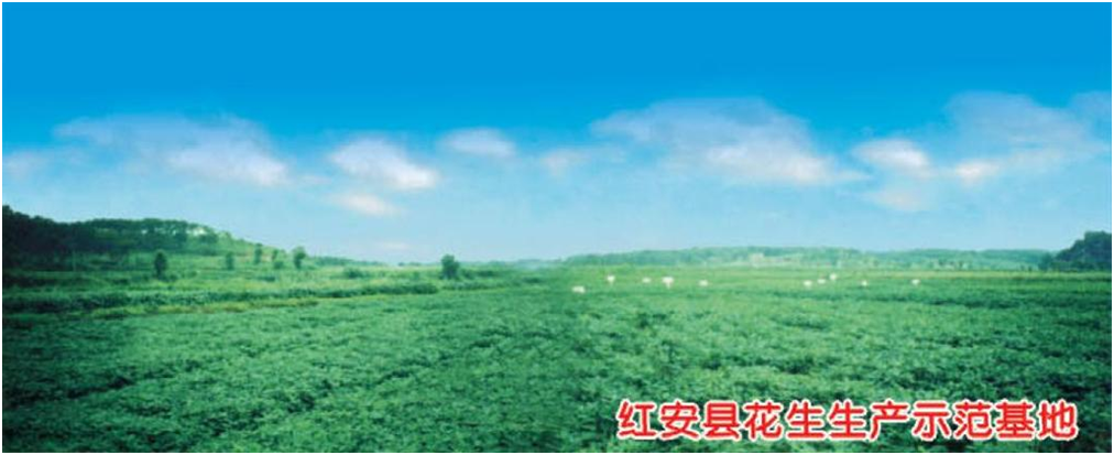 pg电子·(中国区)官方网站-不凡成绩非凡