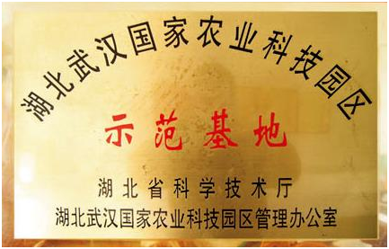 pg电子·(中国区)官方网站-不凡成绩非凡