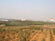 pg电子·(中国区)官方网站-不凡成绩非凡