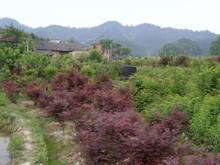 pg电子·(中国区)官方网站-不凡成绩非凡