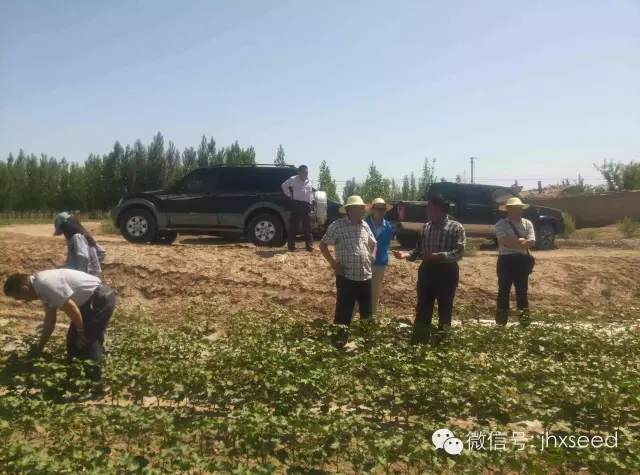 pg电子·(中国区)官方网站-不凡成绩非凡