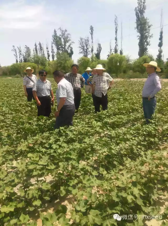 pg电子·(中国区)官方网站-不凡成绩非凡