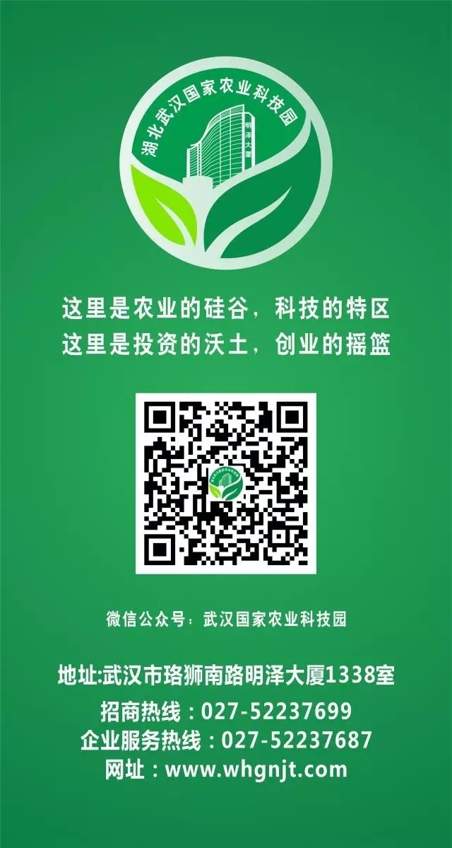 pg电子·(中国区)官方网站-不凡成绩非凡