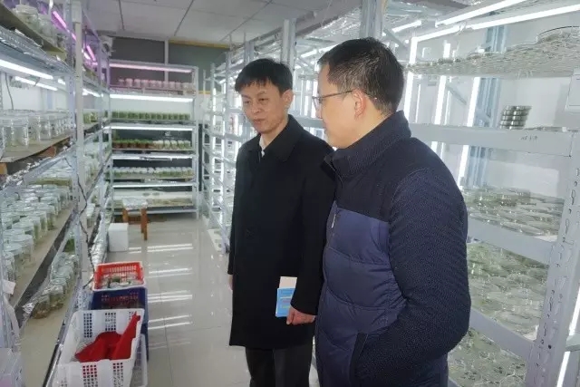 pg电子·(中国区)官方网站-不凡成绩非凡
