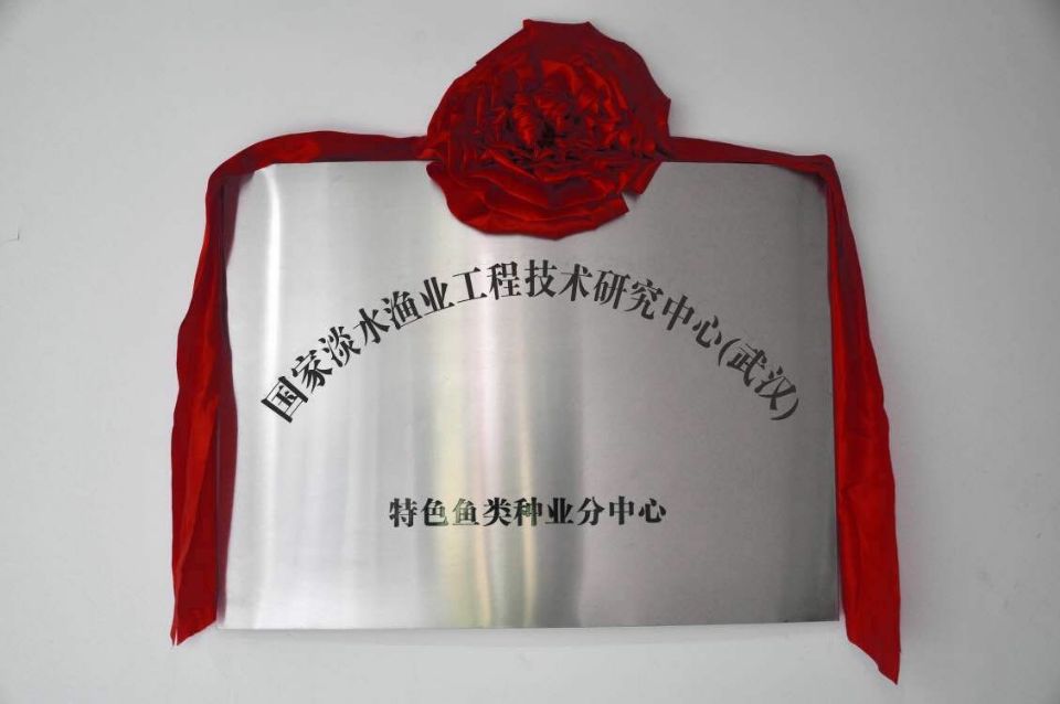 pg电子·(中国区)官方网站-不凡成绩非凡