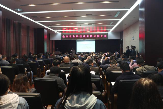 pg电子·(中国区)官方网站-不凡成绩非凡